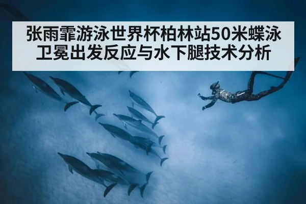 张雨霏游泳世界杯柏林站50米蝶泳卫冕出发反应与水下腿技术分析