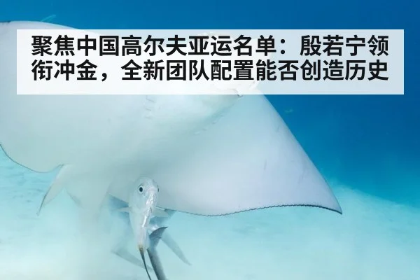 聚焦中国高尔夫亚运名单:殷若宁领衔冲金,全新团队配置能否创造历史